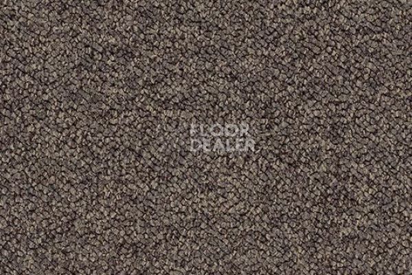 Ковровая плитка Tessera Chroma 3611 treacle фото 1 | FLOORDEALER